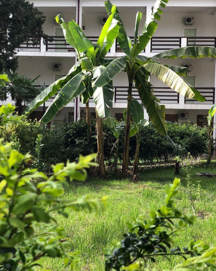 Heliopark Gora Bagrata Hotel Sukhumi Ngoại thất bức ảnh