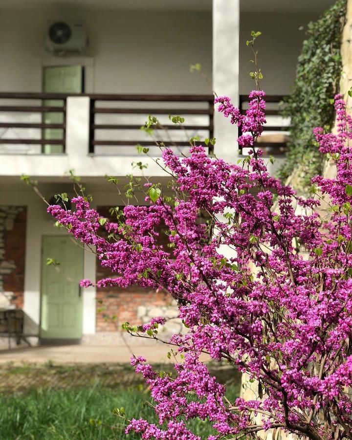 Heliopark Gora Bagrata Hotel Sukhumi Ngoại thất bức ảnh
